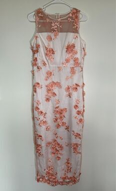 FEHAUTE Pink Floral Embroidered Mesh Sleeveless Midi Dress – Size 6